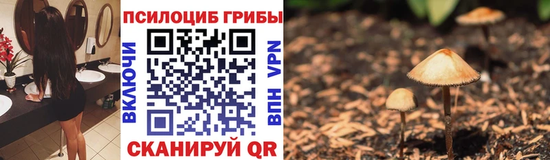 Псилоцибиновые грибы Psilocybine cubensis  Рошаль 